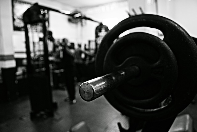 Fitnessgeräte Fitnessgeräte